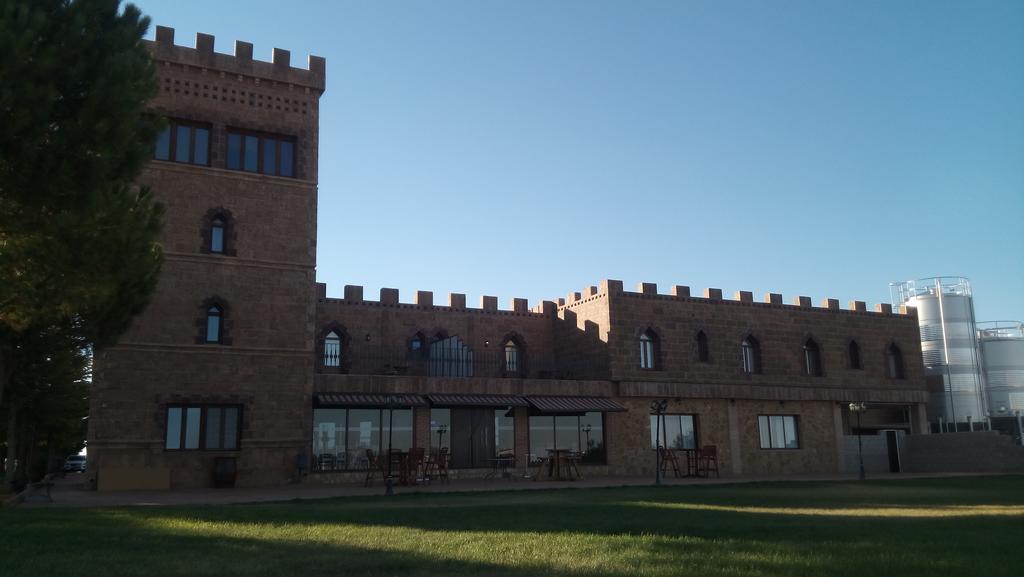 Hotel Vinedos Y Bodegas El Castillo Villarrobledo Buitenkant foto